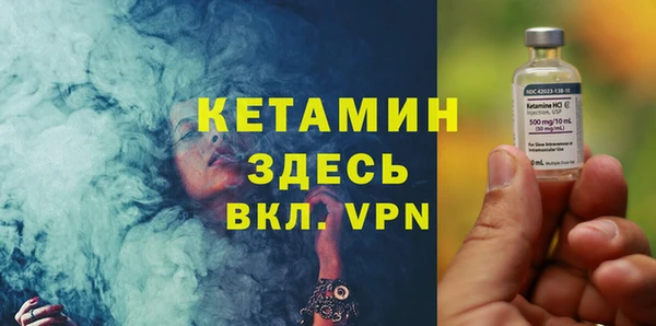 шишки Елизово