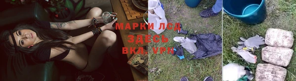 крисы Приозерск