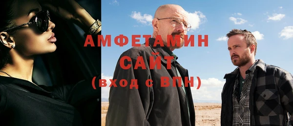 шишки Елизово