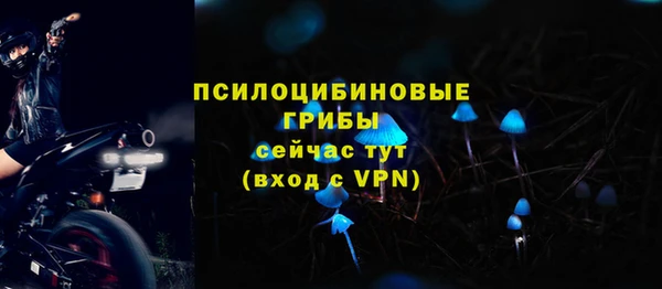 крисы Приозерск