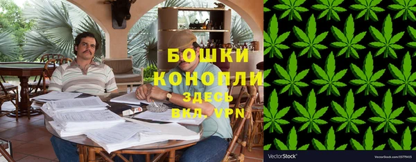 шишки Елизово