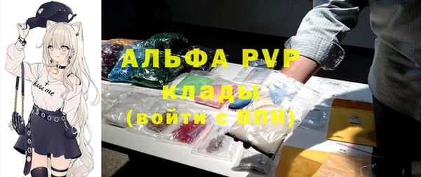 шишки Елизово