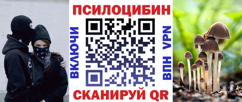 Псилоцибиновые грибы Psilocybe MEGA как зайти Старица